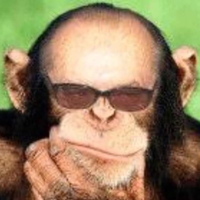 simio_dr's profile picture. ...o animal Intelectual. Buscamos a luz, porém, carregamos as nossas sombras....