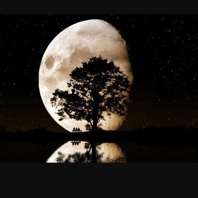 fahd0o09's profile picture. 