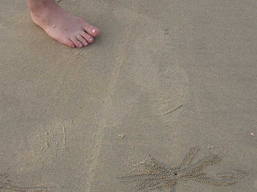 weaksignals's profile picture. 