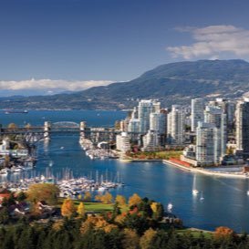 samaaf5's profile picture. 