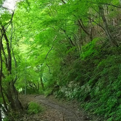 ショウさんのプロフィール画像