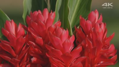 CIzfvTVlmPG1mKn's profile picture. 