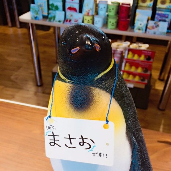 東急ハンズトラックマーケットSHARES ラグーナ蒲郡店の公式Twitterアカウントです(・ω・)ゞ2017年4月28日から2018年4月までの期間限定オープン☆新商品やイベントなどの情報をお伝えしていきたいと思います(*´ω`*)フォローよろしくお願いします(*´艸`)