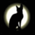 2D/3D animator, visual effects artist, Creator/Producer