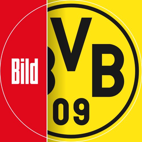 BILD BVB