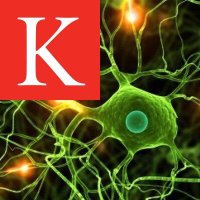 King's MND Centre (@kingsmnd) 's Twitter Profile