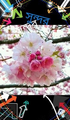 Taniajahan9921's profile picture. 