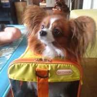 Yugo (@cecil4290) 's Twitter Profile
