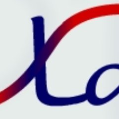 The XLab activities are focused on X-ray techniques, mostly based on polycapillaries, and on theoretical studies on charged and neutral particles interactions.