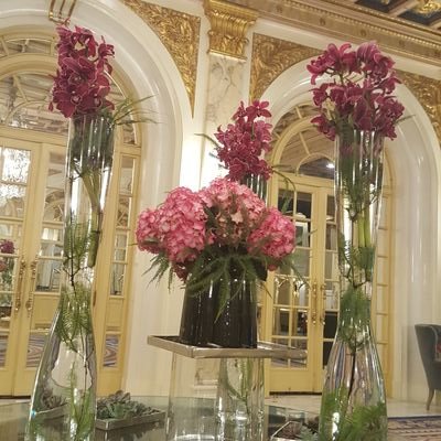 r93lQSsXJFNuhlR's profile picture. ‏غدا احس من الامس