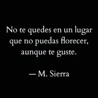 Mayra🇻🇪🍀🌹🥀(@Mayra90239137) 's Twitter Profile Photo