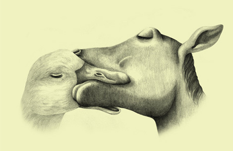 Parorio's profile picture. 