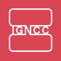 International Graphic Novel and Comics Conference(@TheIGNCC) 's Twitter Profile Photo