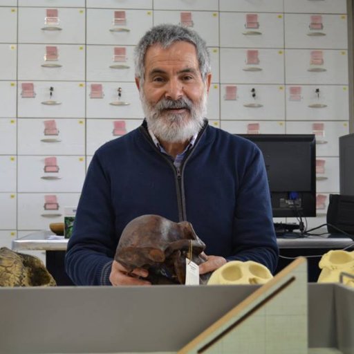 Independent Researcher ;
Paleoanthropology, Anthropology and Human Evolution