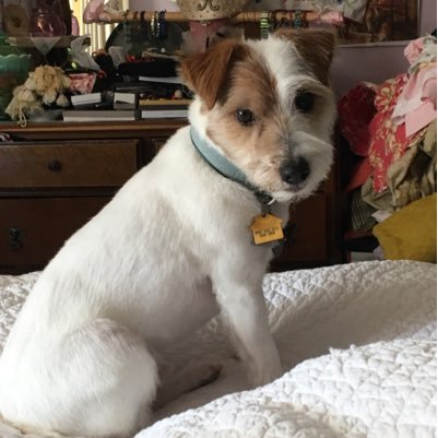 moniecmm's profile picture. 