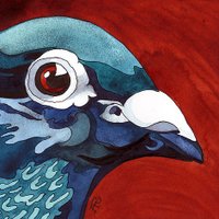 rocky-beach.com (@rockybeachcom) 's Twitter Profile