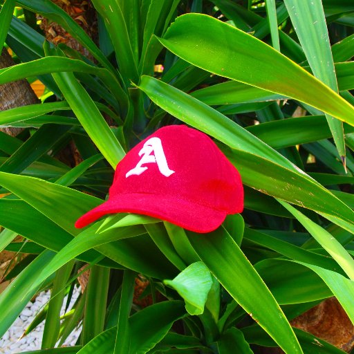 JackDagnet's profile picture. 🅰️SG🇬🇵