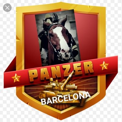 panzerbarca2015 Profile Picture