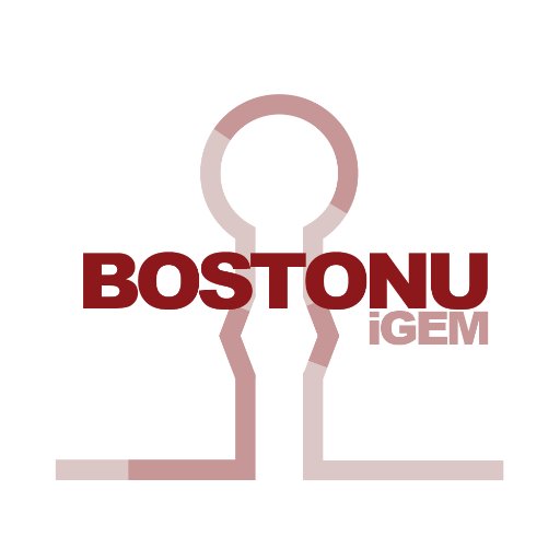 Official Twitter of Boston University's 2017 Wet-lab iGEM Team ⚙️