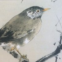 James McDonnell (@allkveik) 's Twitter Profile
