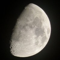 evonite(エボナイト)@🐝3/17〜呂宋島 (@evonite_p) 's Twitter Profile