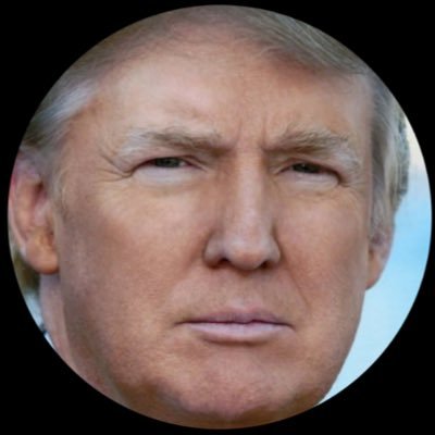 TrumpTranscribe's profile picture. If you've been blocked by @realDonaldTrump, here's the place for you. Follow to keep up with his tweets. #TheResistance #BlockedbyTrump