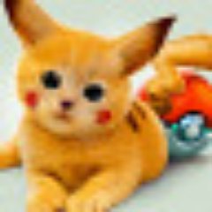 774463Noman's profile picture. 😉