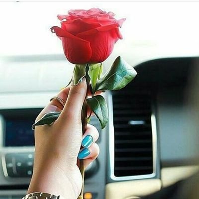 xZjK182lKQVu66Y's profile picture. الأنسان الطيب دائمآ مبتسم يضحك يسامح كثيرآ يتجاهل  كل مايؤلمه لكن لا احد يعلم مابدخله