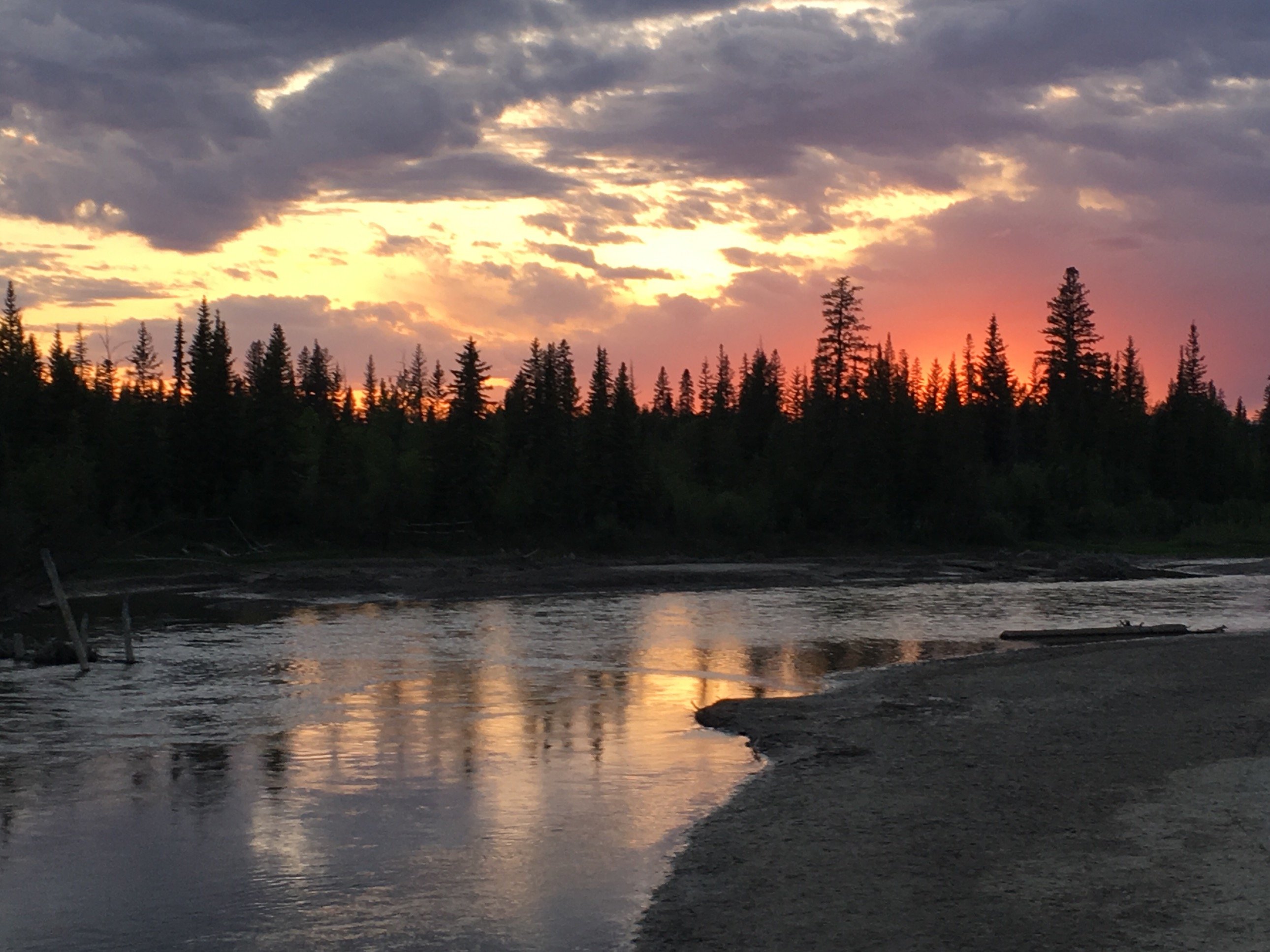 hopeforfuture79's profile picture. "In a time of universal deceit, telling the truth is a revolutionary act.” Orwell