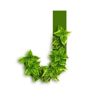 🌿 Y cuando hayáis acabado con el último árbol, sólo la muerte, estoica, contemplará absorta vuestro legado 🌿