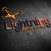LightningAerialSurv (@AerialSurv) Twitter profile photo