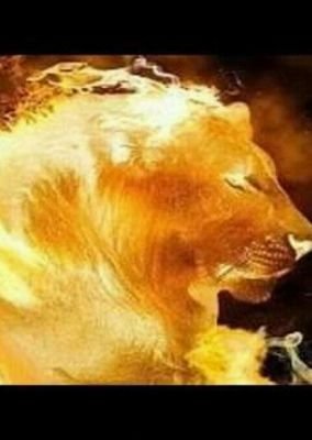 EdwinAlfredoGM's profile picture. 