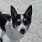 grser_patrick's profile image