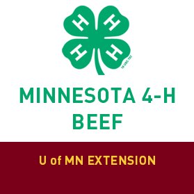 Helping beef project participants, families, volunteers get to shows & events on time. For a conversation about 4-H, follow MN4H