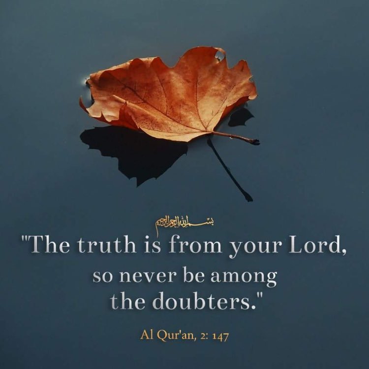 ArhmedJ's profile picture. 