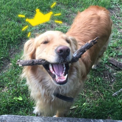 kathrynfyfe00's profile picture. BGSU ‘23