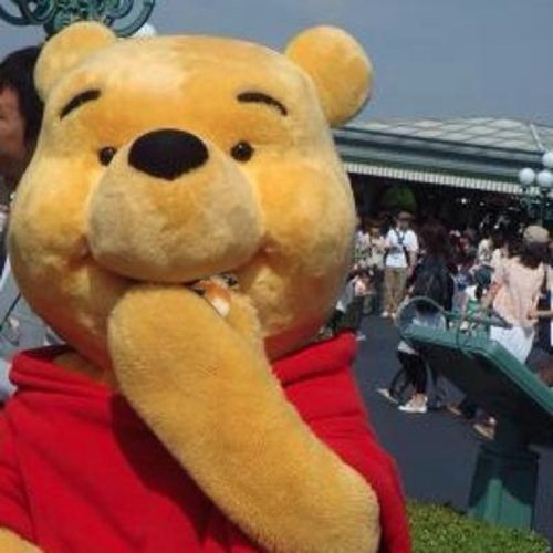 Nelnoskii_'s profile picture. 本当はもっと呟きたいのだ。 MIDAG所属、きゅうしょく係 Project Reality BF2(FPS) では中堅分隊長