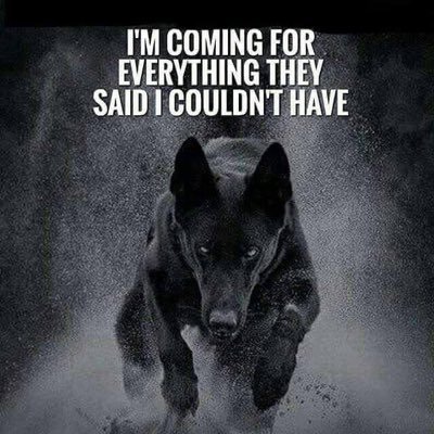 OGJamesG's profile picture. 