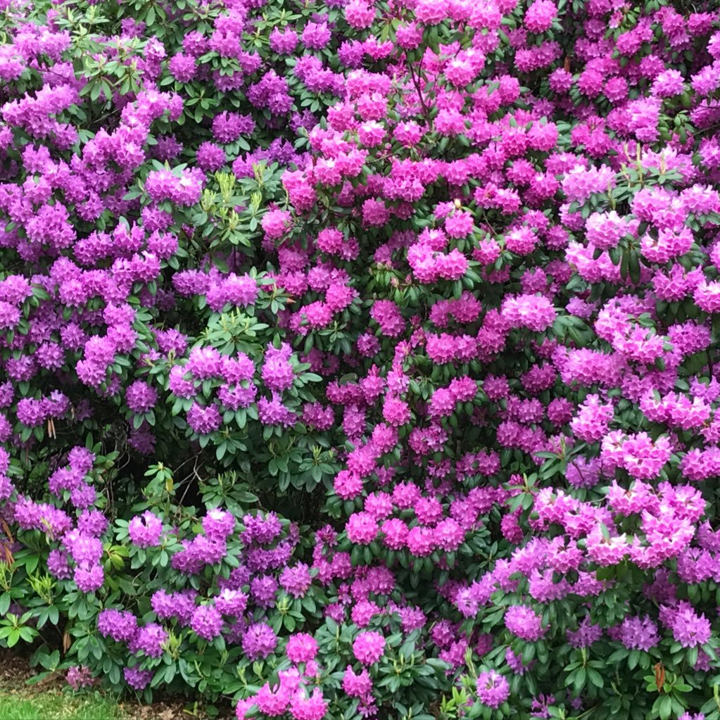 persistentLab's profile picture. Dabbler in Things. Doing things differently.