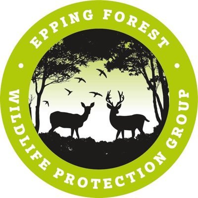 Epping Forest Wildlife Protection Group member