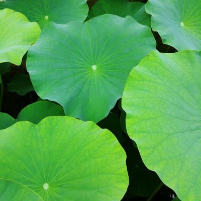 solartracking79's profile picture. solartracking