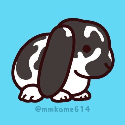 うさかめさんのプロフィール画像
