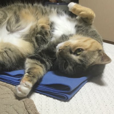 daysofstone's profile picture. 