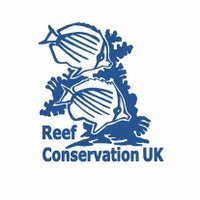 Reef Conservation UK(@ReefConsUK) 's Twitter Profileg