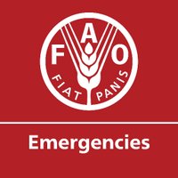 FAO in Emergencies(@FAOemergencies) 's Twitter Profile Photo