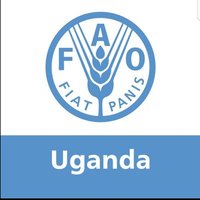 FAO in Uganda(@FAOUganda) 's Twitter Profile Photo