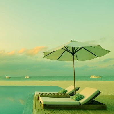 robin160207's profile picture. わたあめ(🐩)をこよなく愛する、マンガ編集者です。