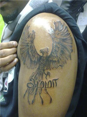 nalravi's profile picture. 