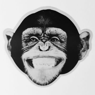 Monkey Grinder is a Spanish, mediterranean inspired café tapas restaurant on Lark Lane. We are independent.