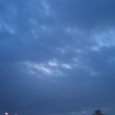 twe_085's profile picture. ポケモンお花畑